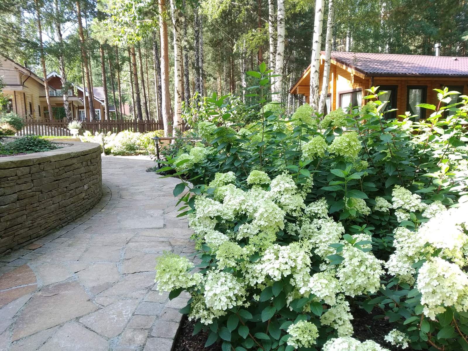 У леса на опушке