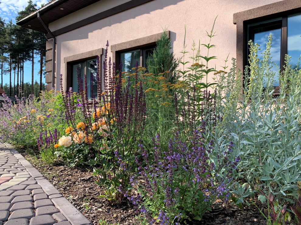 На солнечной поляне