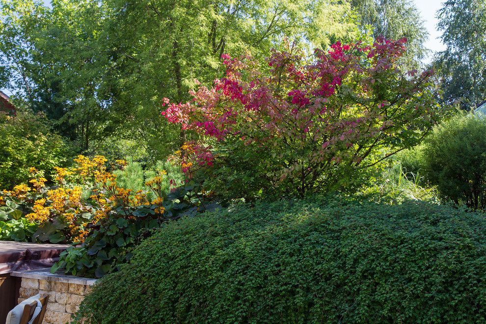 Garden of Elena Astashkina in Moscow Region