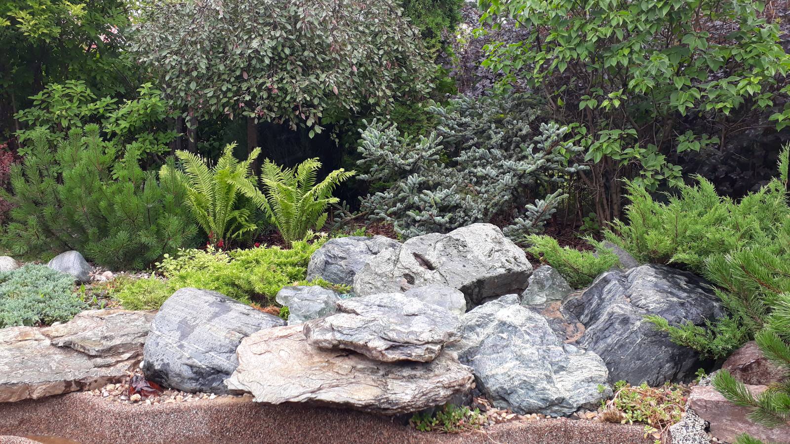 Мини-пруд Королев