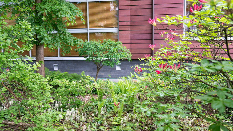 Сад с японским характером в КП "Ландшафт", Усово 2010 г