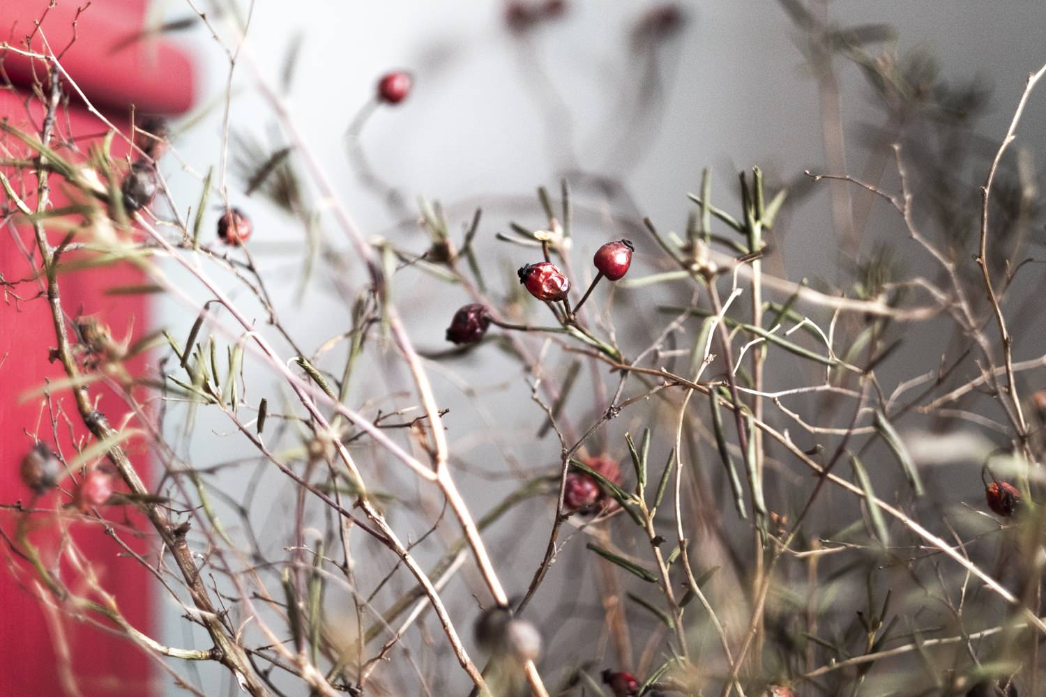 Комната-кабинет интерьерного фотографа Дины Александровой