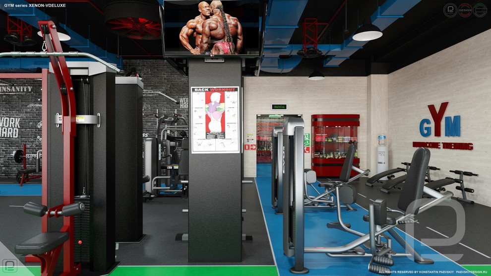 Тренажерный зал GYM series XENON-VDELUXE