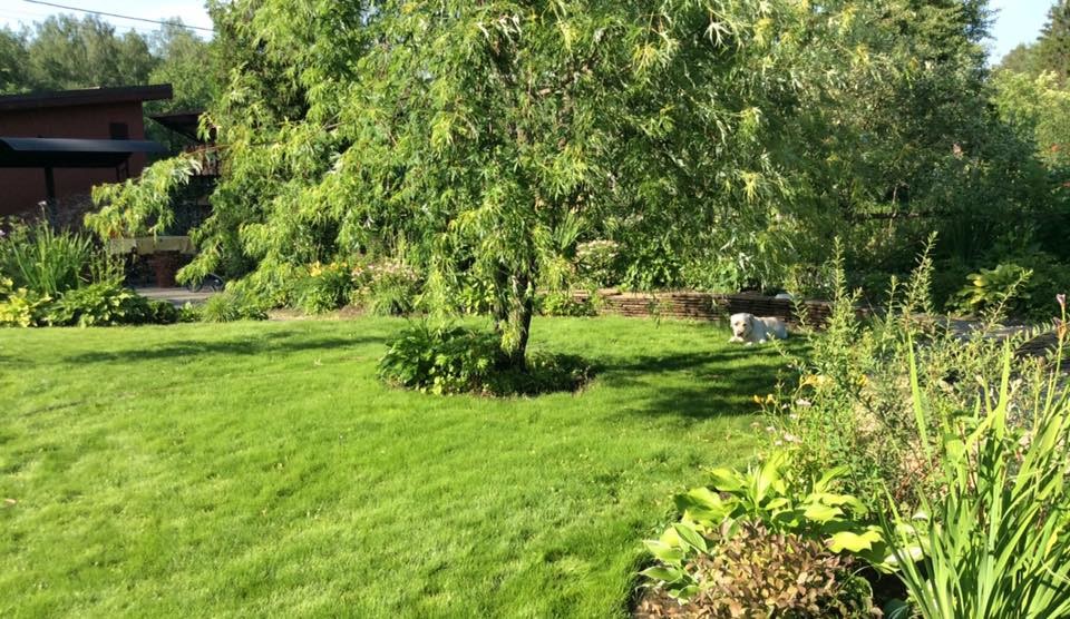 САДИК НА ЛАДОШКЕ (АЛЕНЬКИЙ ЦВЕТОЧЕК)