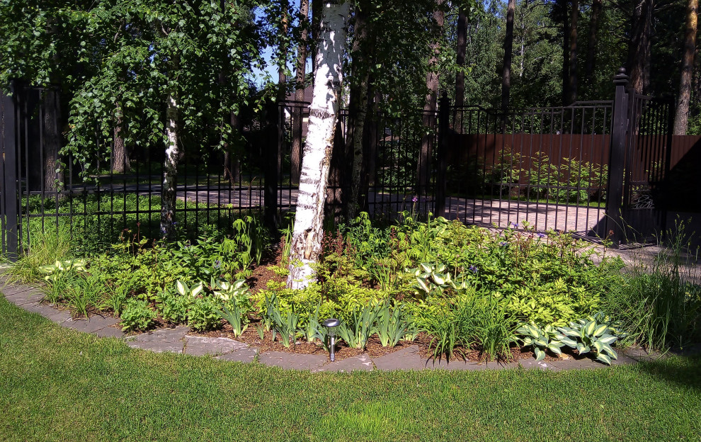 Обложка проекта: Цветники под пологом леса