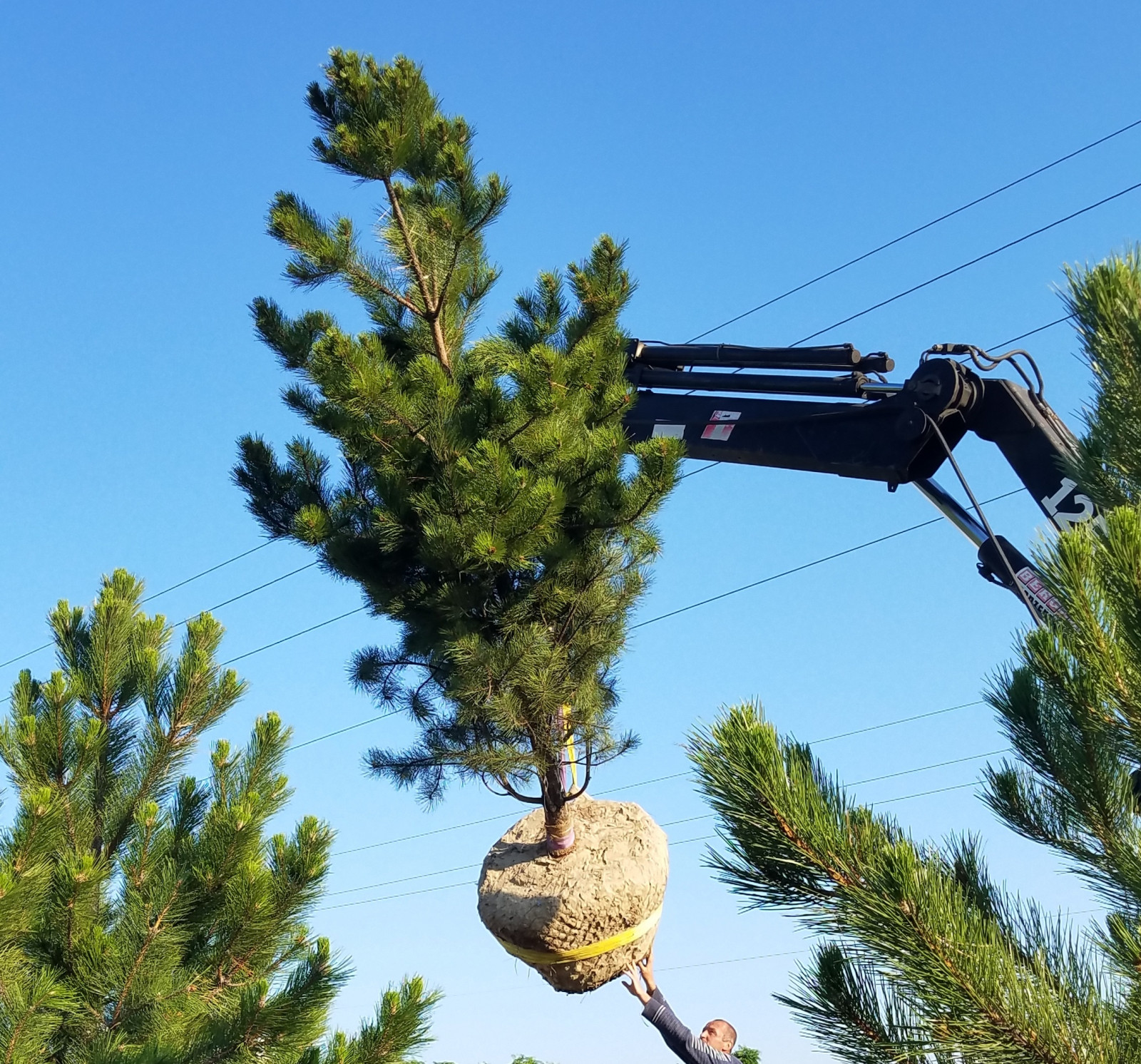 Ландшафтная компания "Зелёный проект"