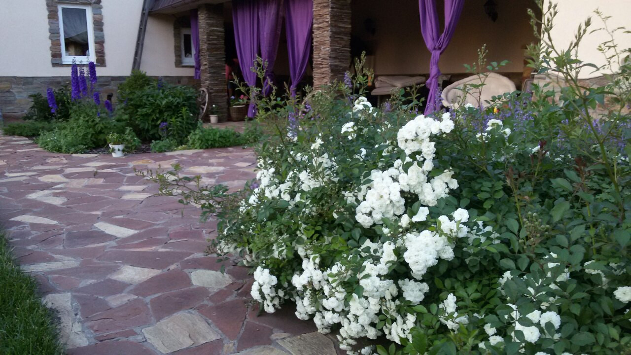 Галина Каменева