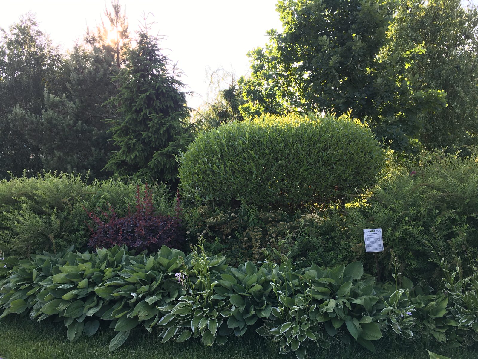 Парк в городе