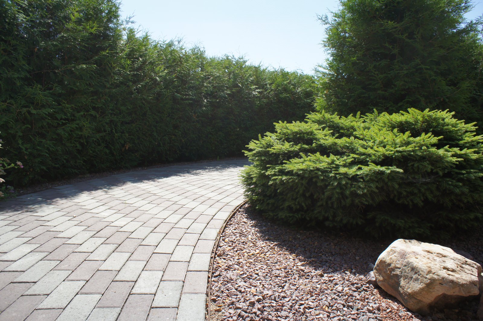 Деревенский сад