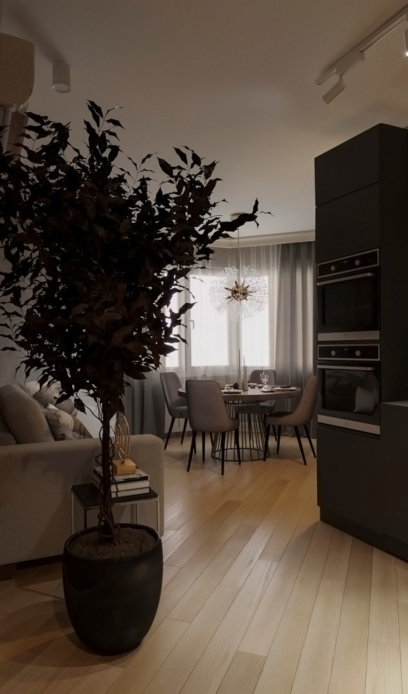 Кухня-гостинная