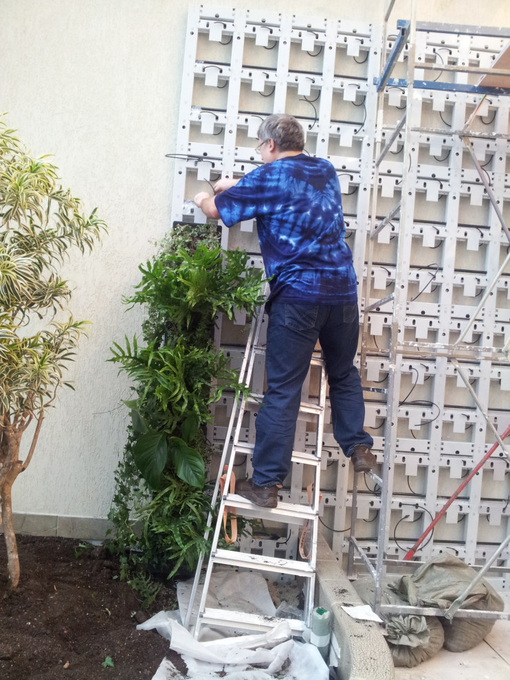 Зеленая стена