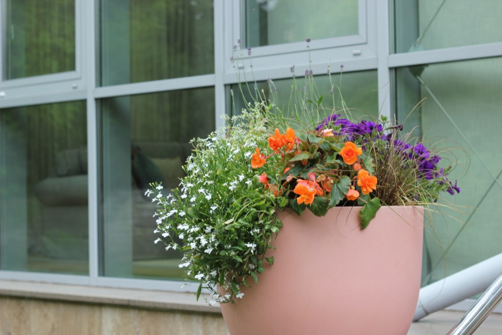 Проект недели: Кадочное озеленение в подмосковных Раздорах