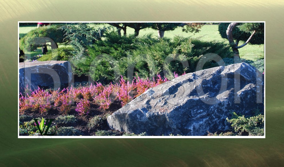 Реализованные проекты