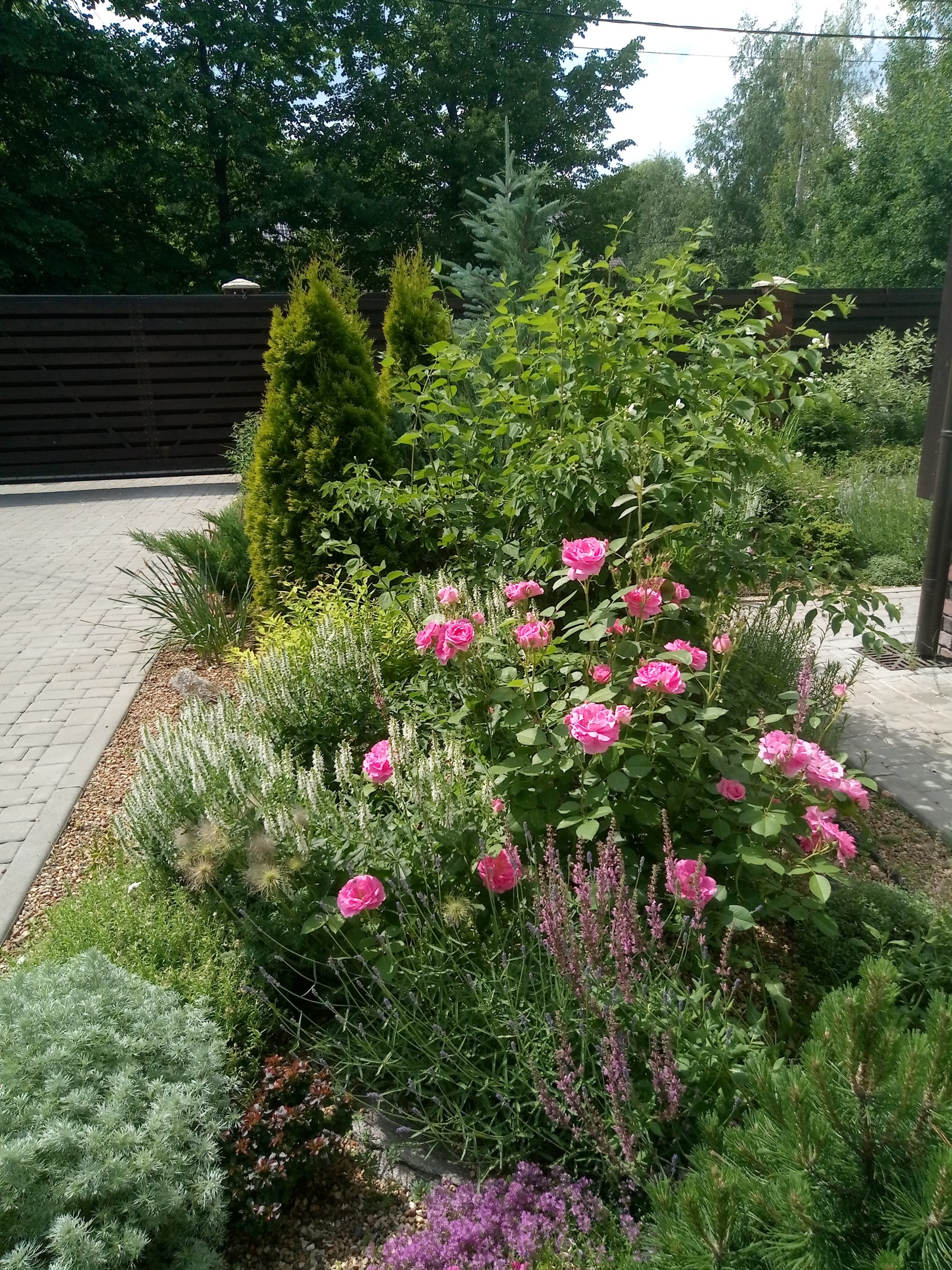 Сад в Рожновке