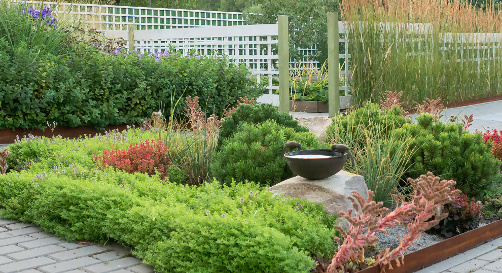 Обложка проекта: Дергаево - Цвет и нежность