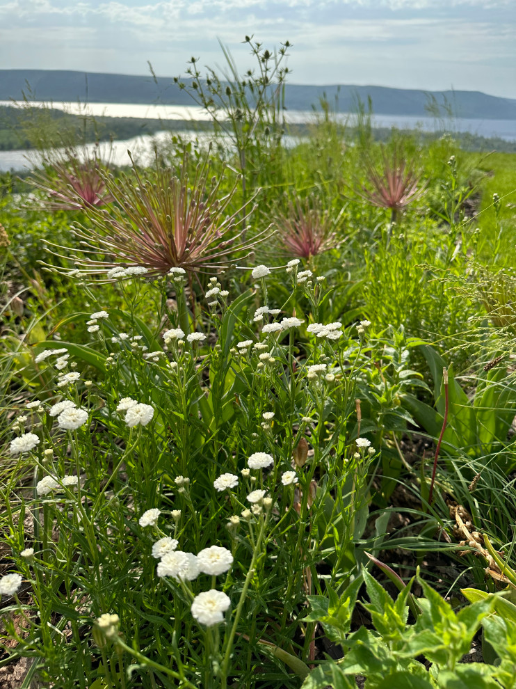 Сад с видом на Волгу