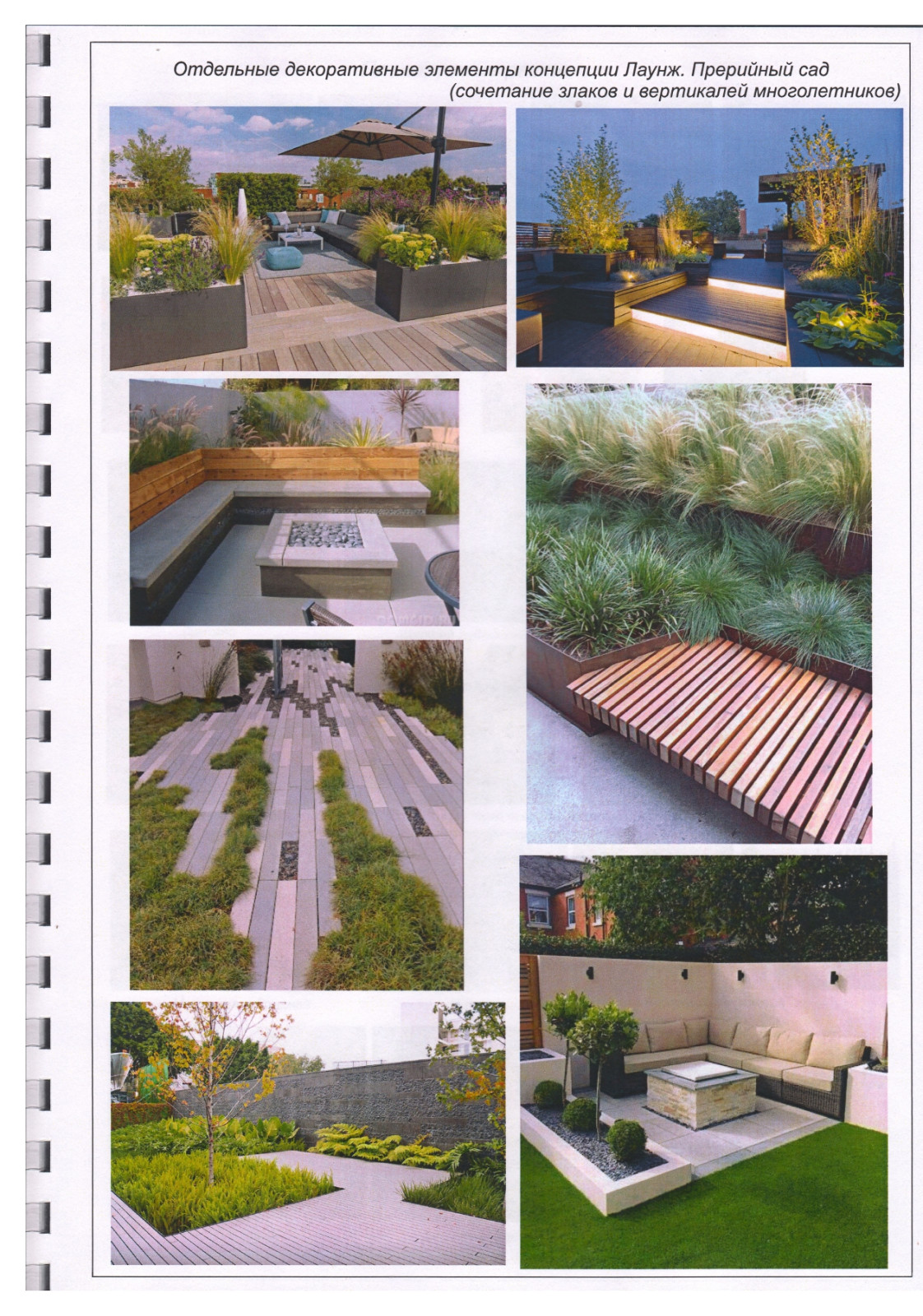 Обложка проекта: Сад на крыше в восточном стиле