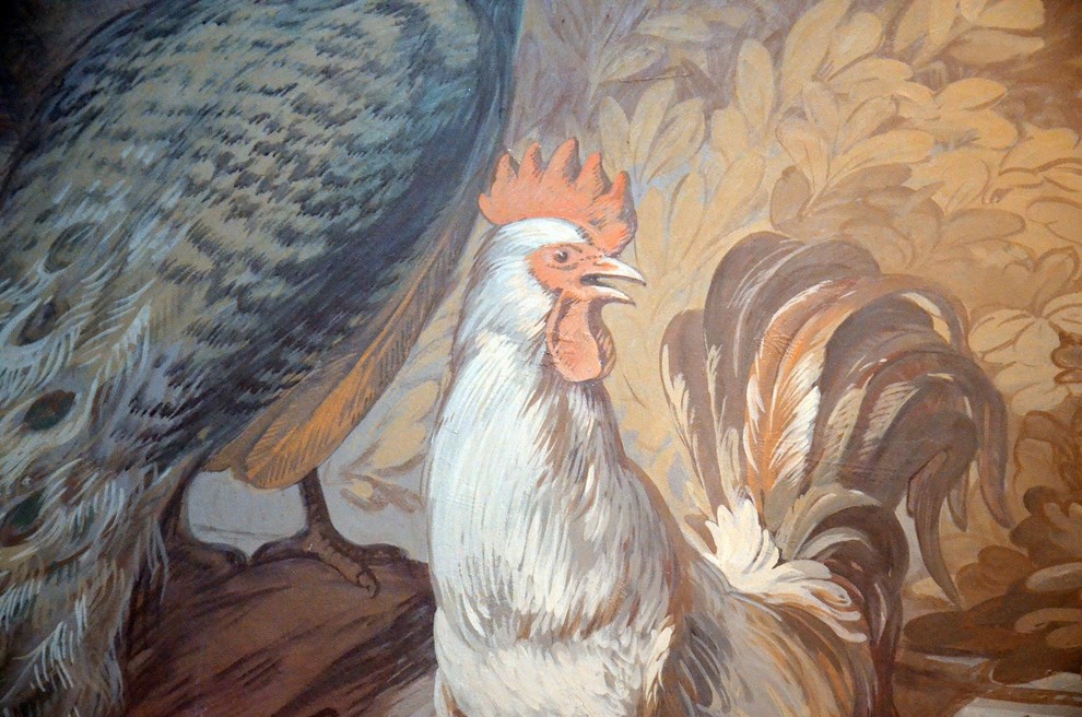 Дизайн жилых помещений