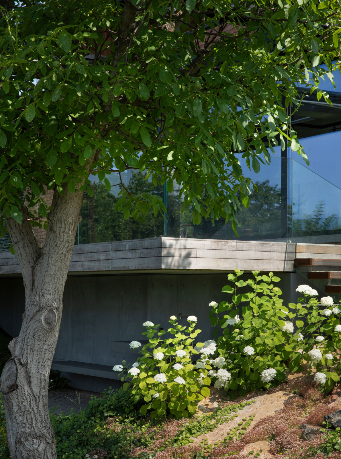 MRIIA HOUSE