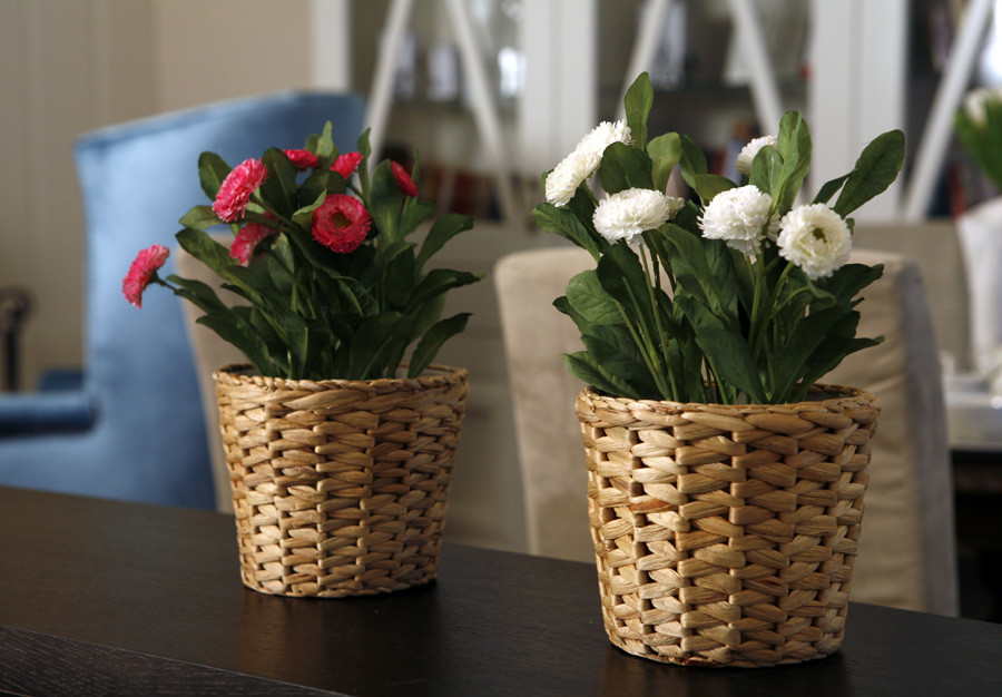 Classics of the genre