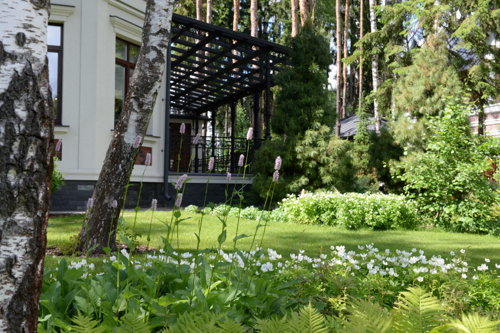 Новогорск 2021