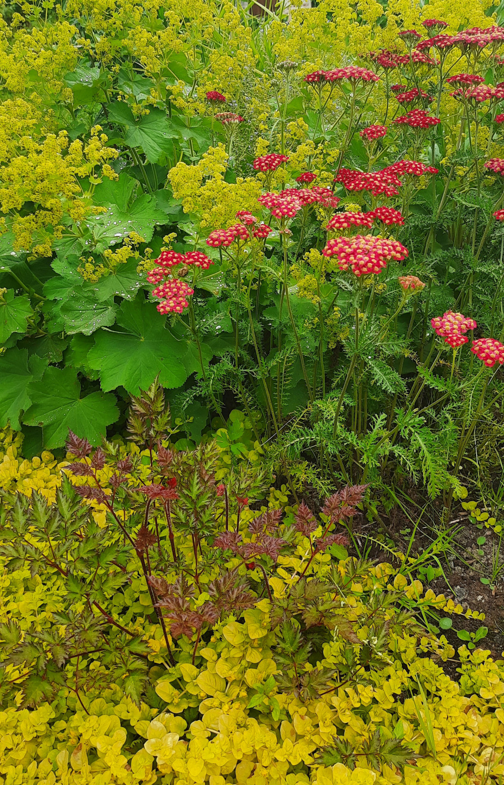 Обложка проекта: Реализация