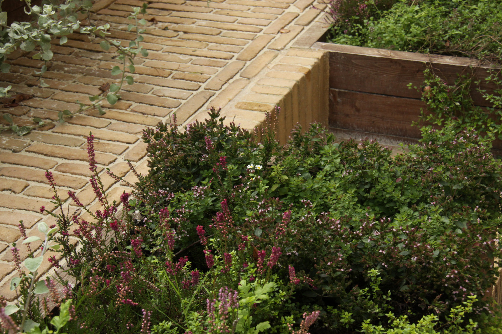 "Fairy Garden.Сад под дубами"