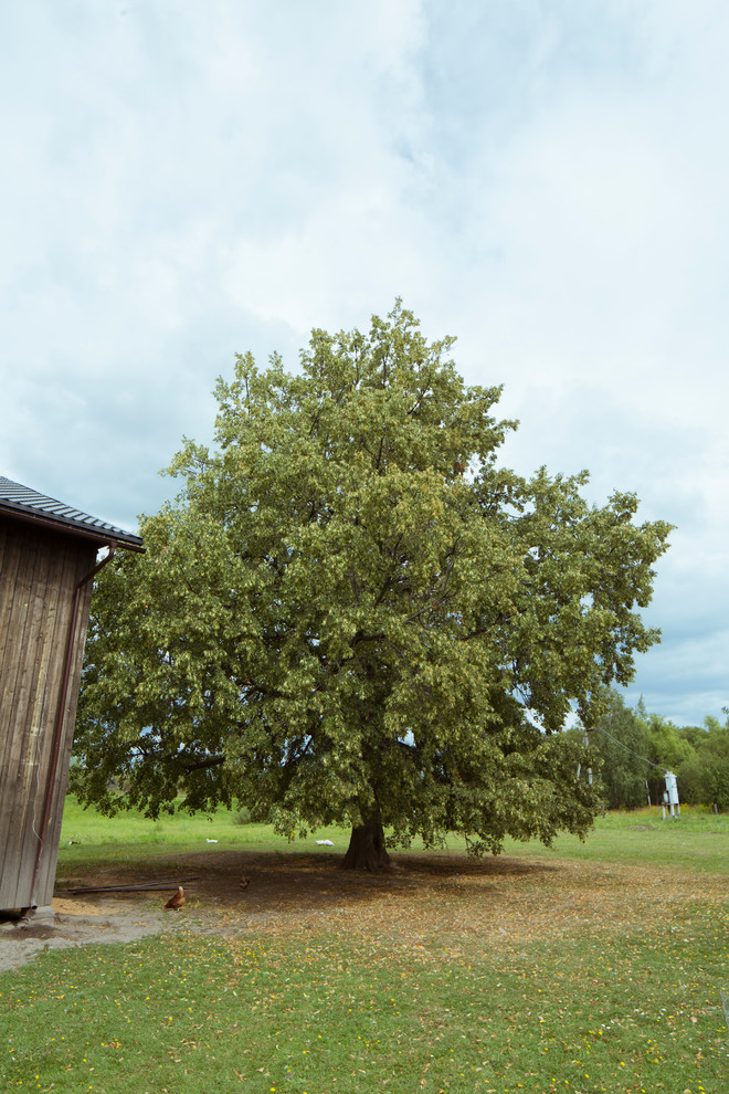 Итак, вы купили дачу... Что делать дальше?