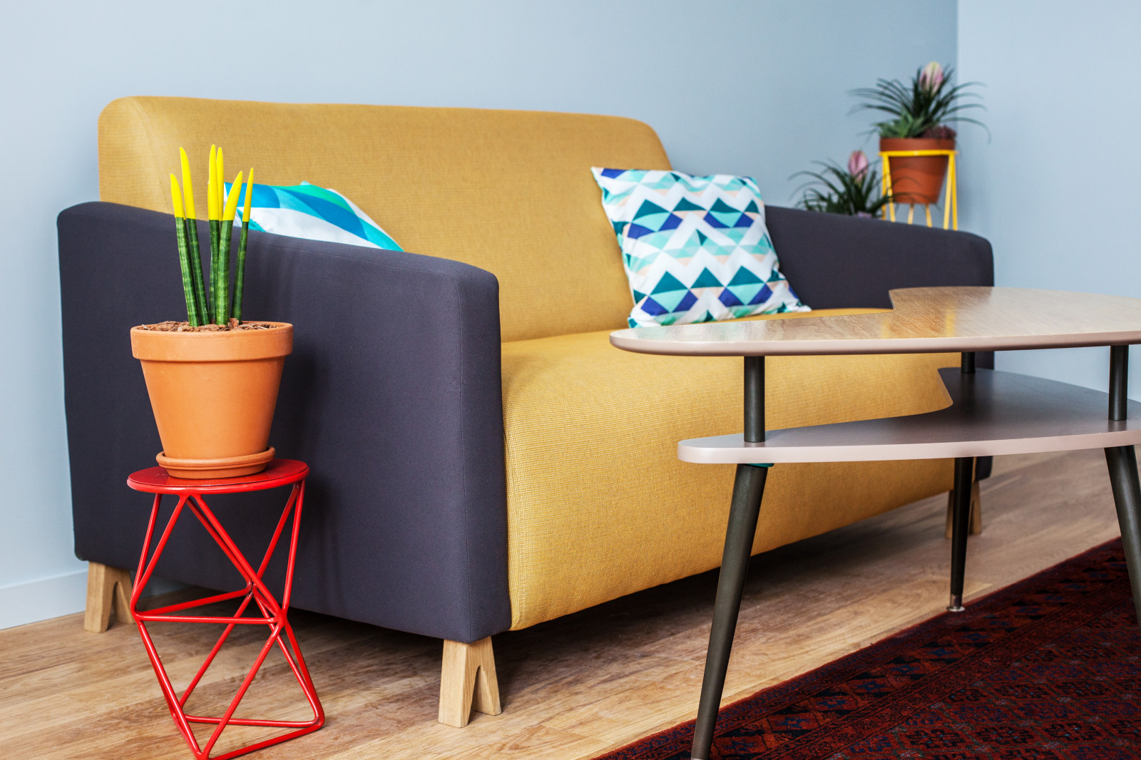 Коллаборация Planty, «Сделано», Woodi Furniture