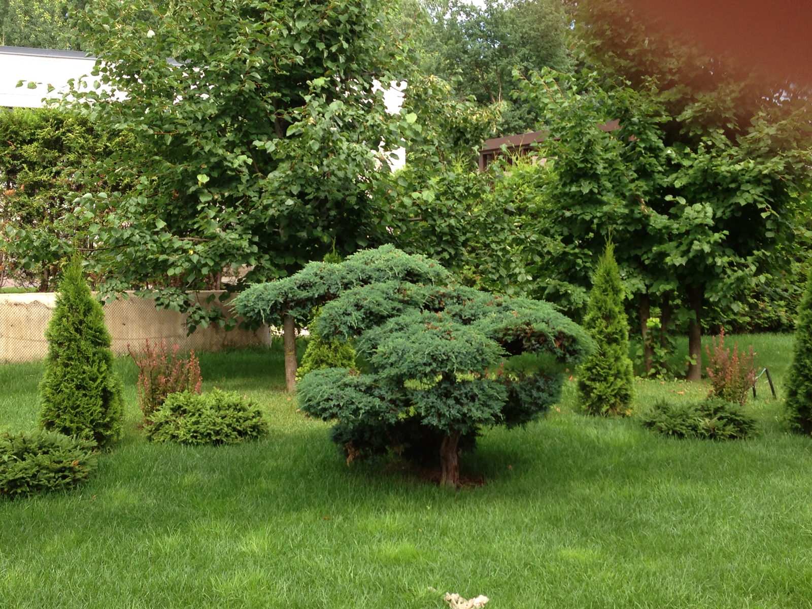 Наши работы