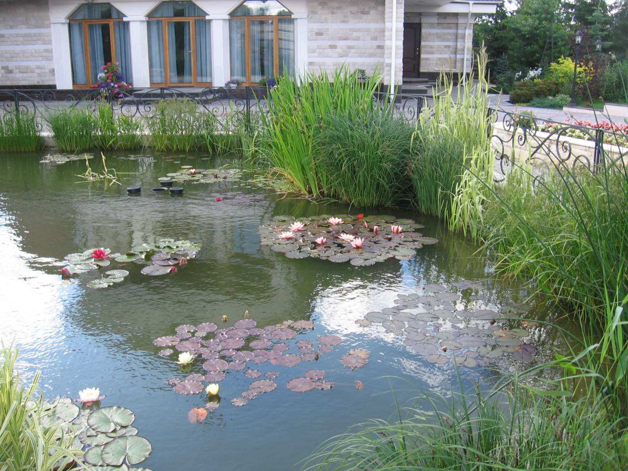 Участок в Парголово