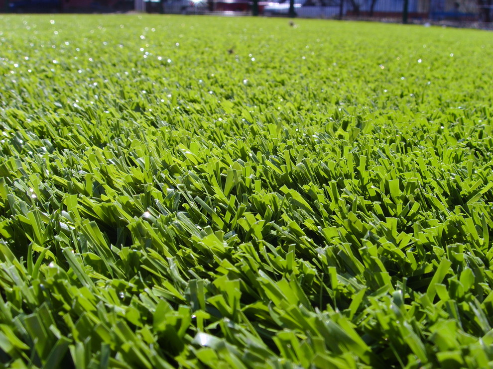 Спортивный газон