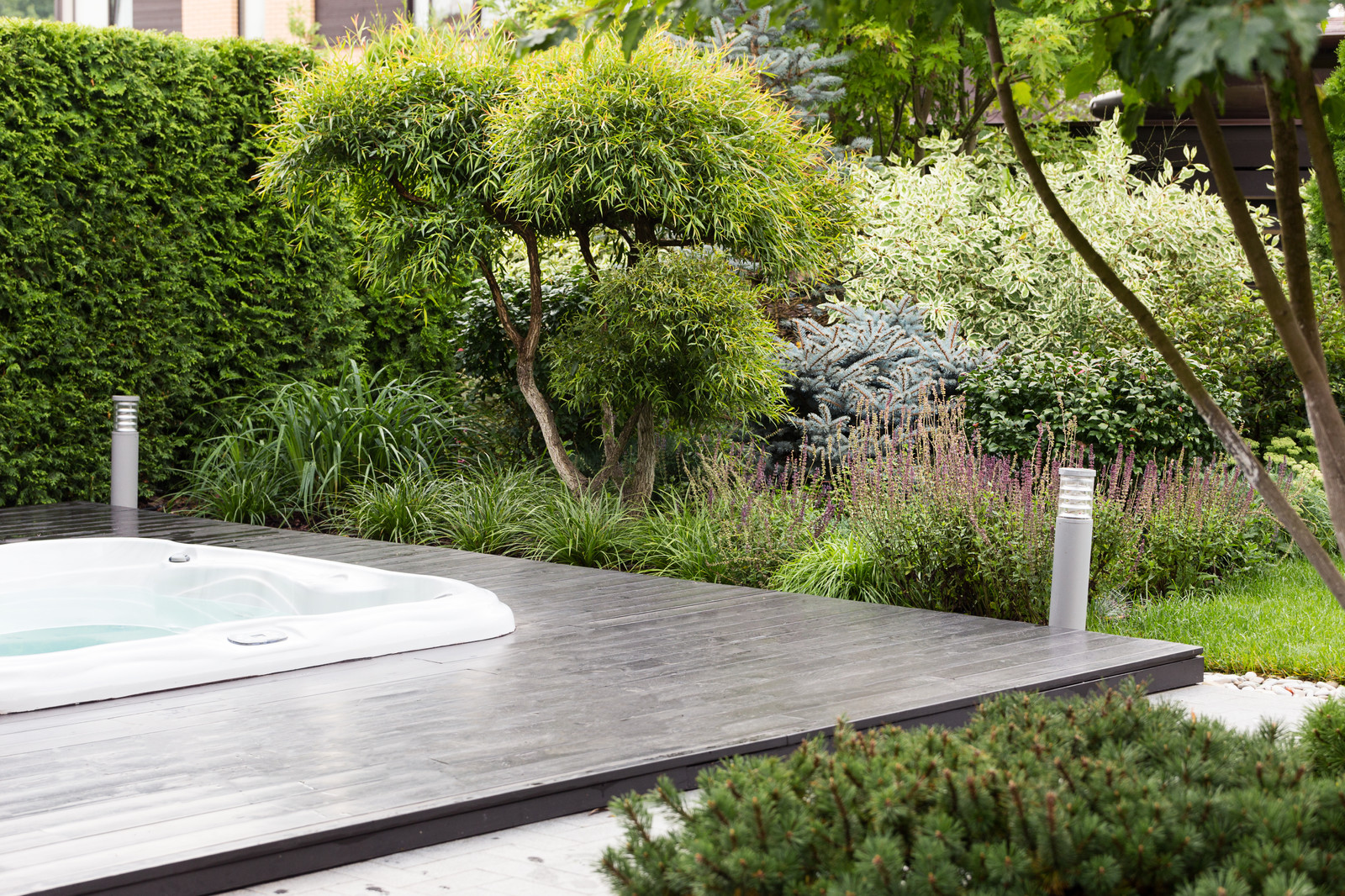 Фотосъёмка сада (к/п Светлогорье)