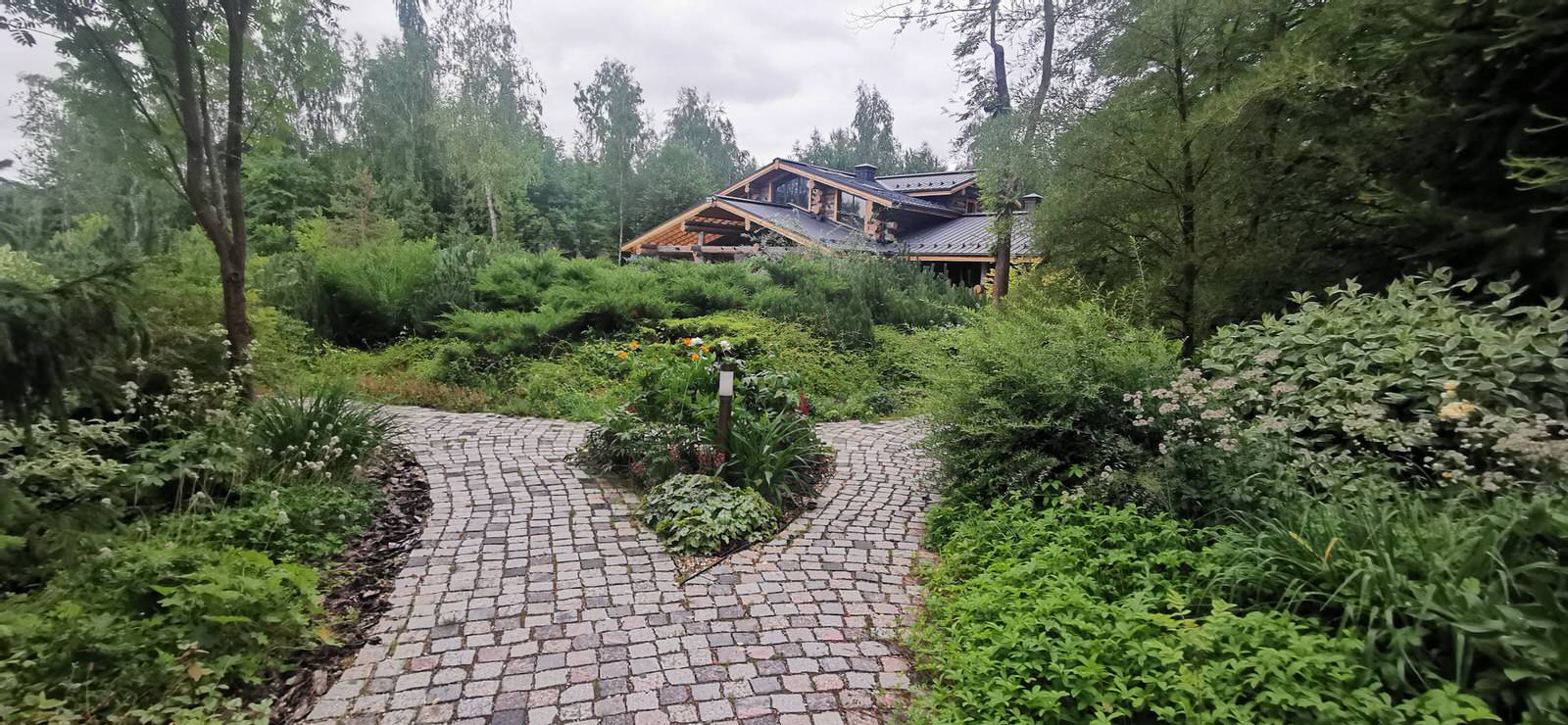 Лесное озеро