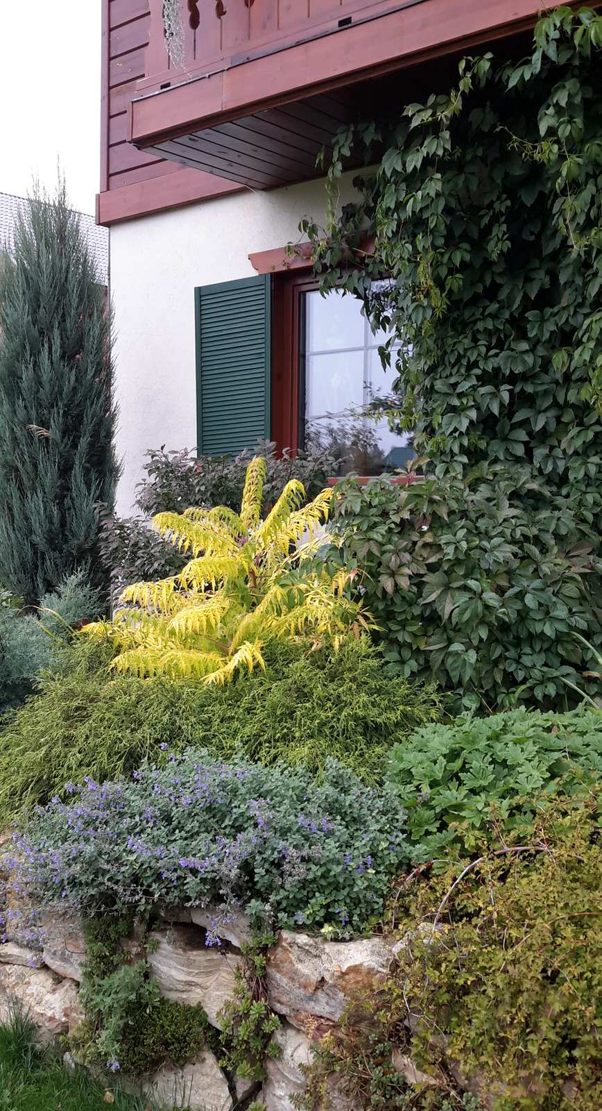 Приподнятые клумбы