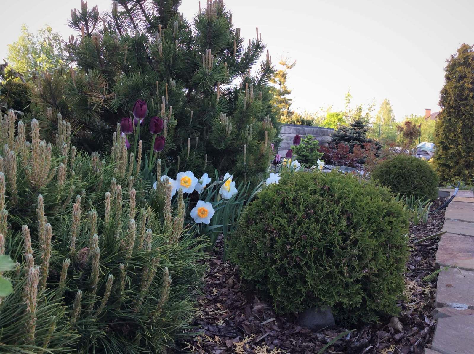 СНЫ О ЧЕМ_ТО БОЛЬШЕМ...