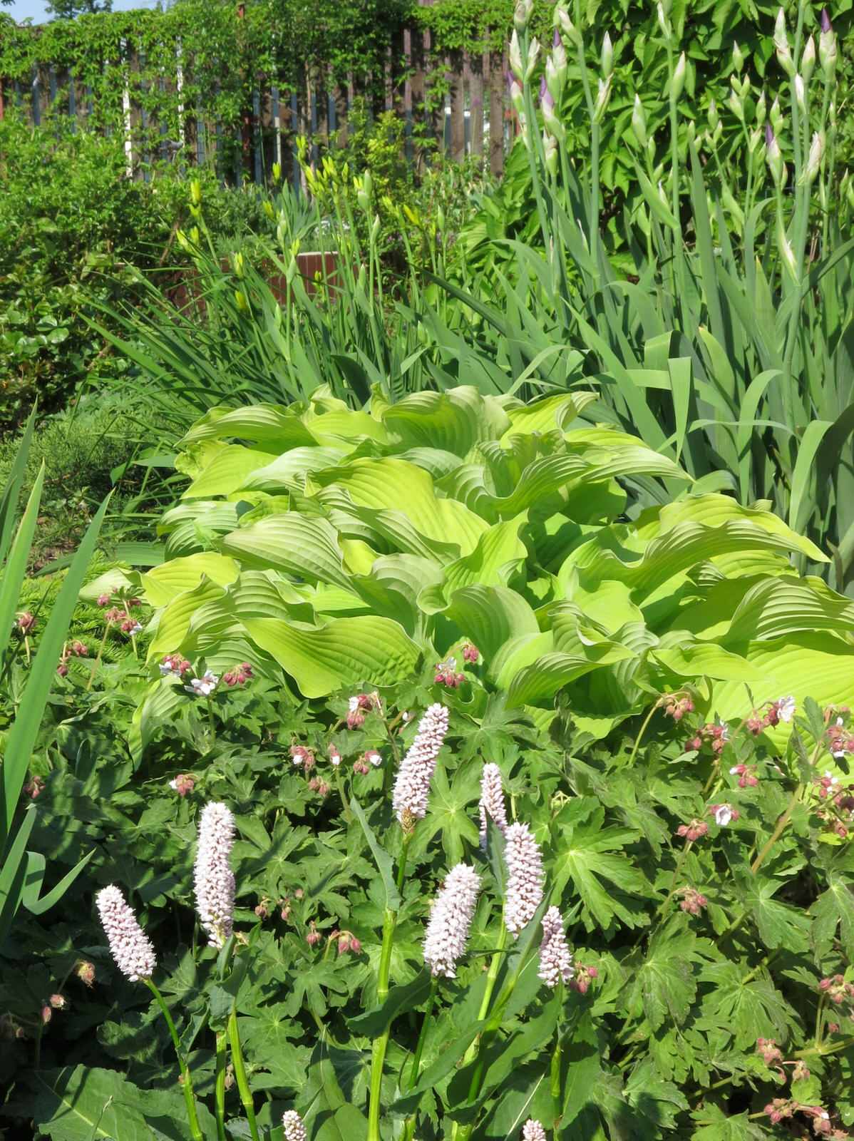 ТЕПЛЫШКО МОЕ. ВЕСНА.