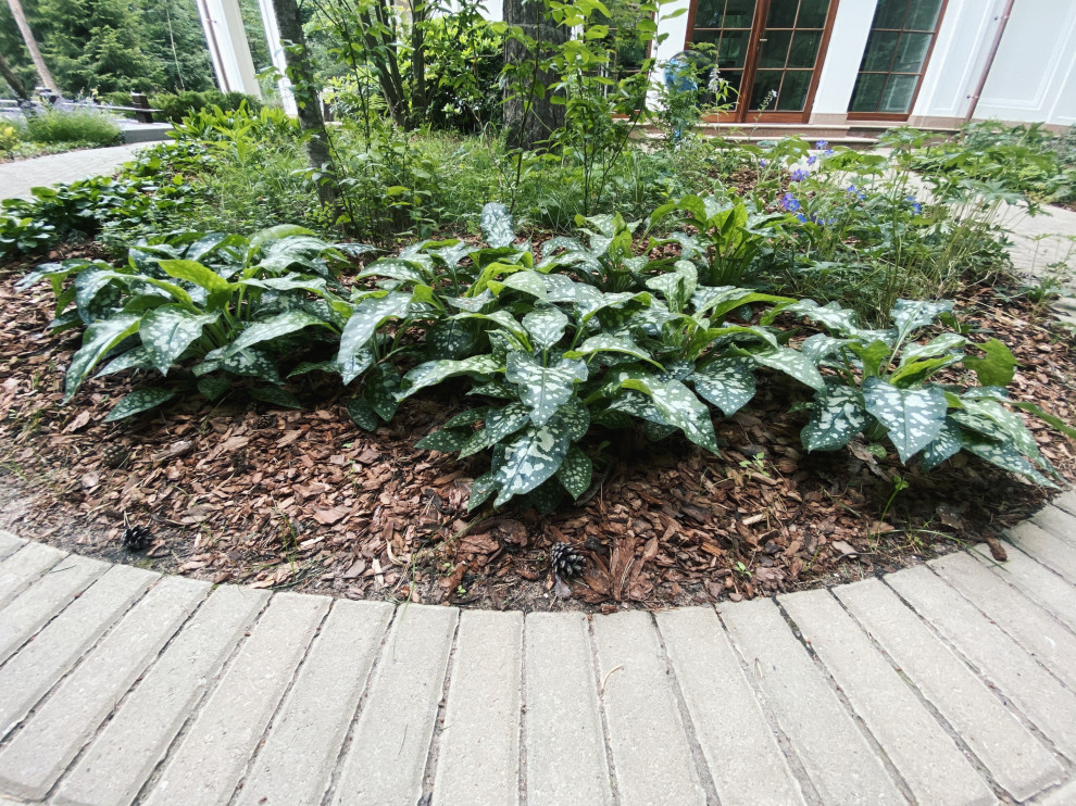 Тенистый сад