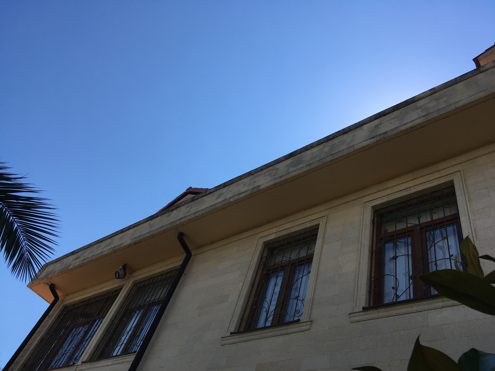 Фабрициуса