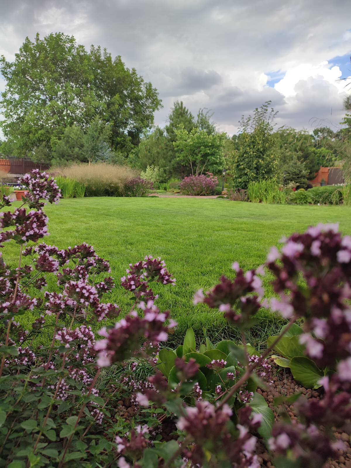 Обложка проекта: В травах