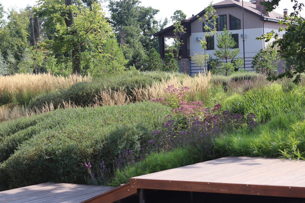 WB Берег пруда (август)