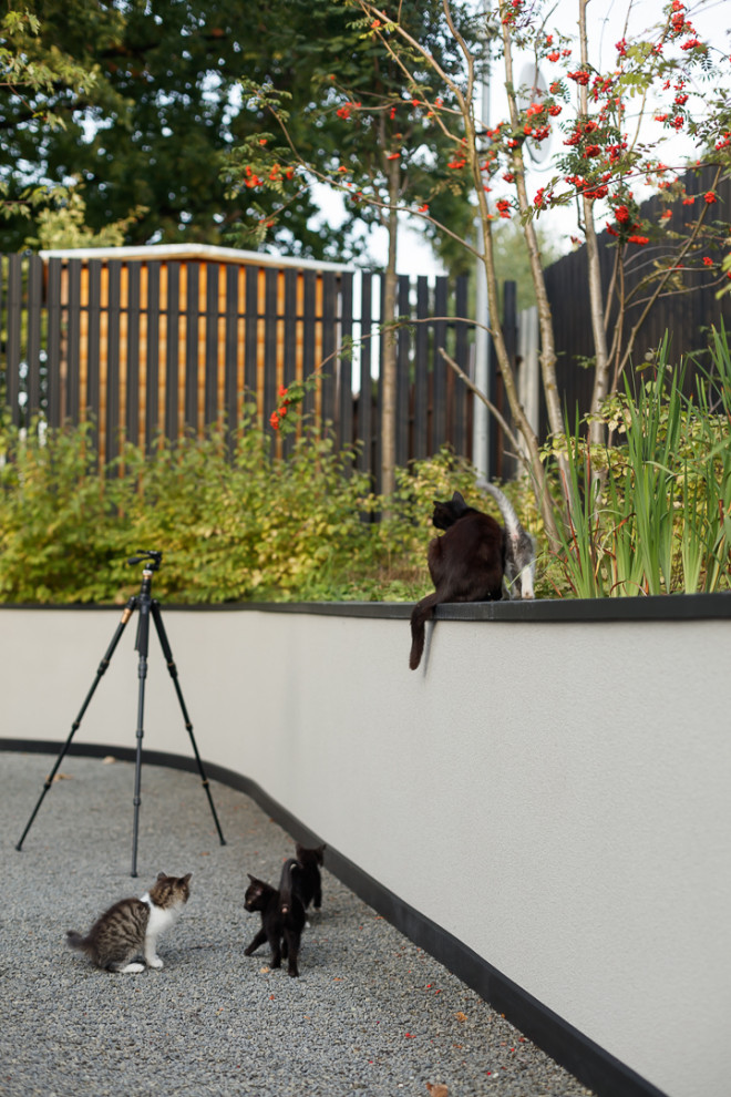 Обложка альбома: Идеи пользователя Ольга