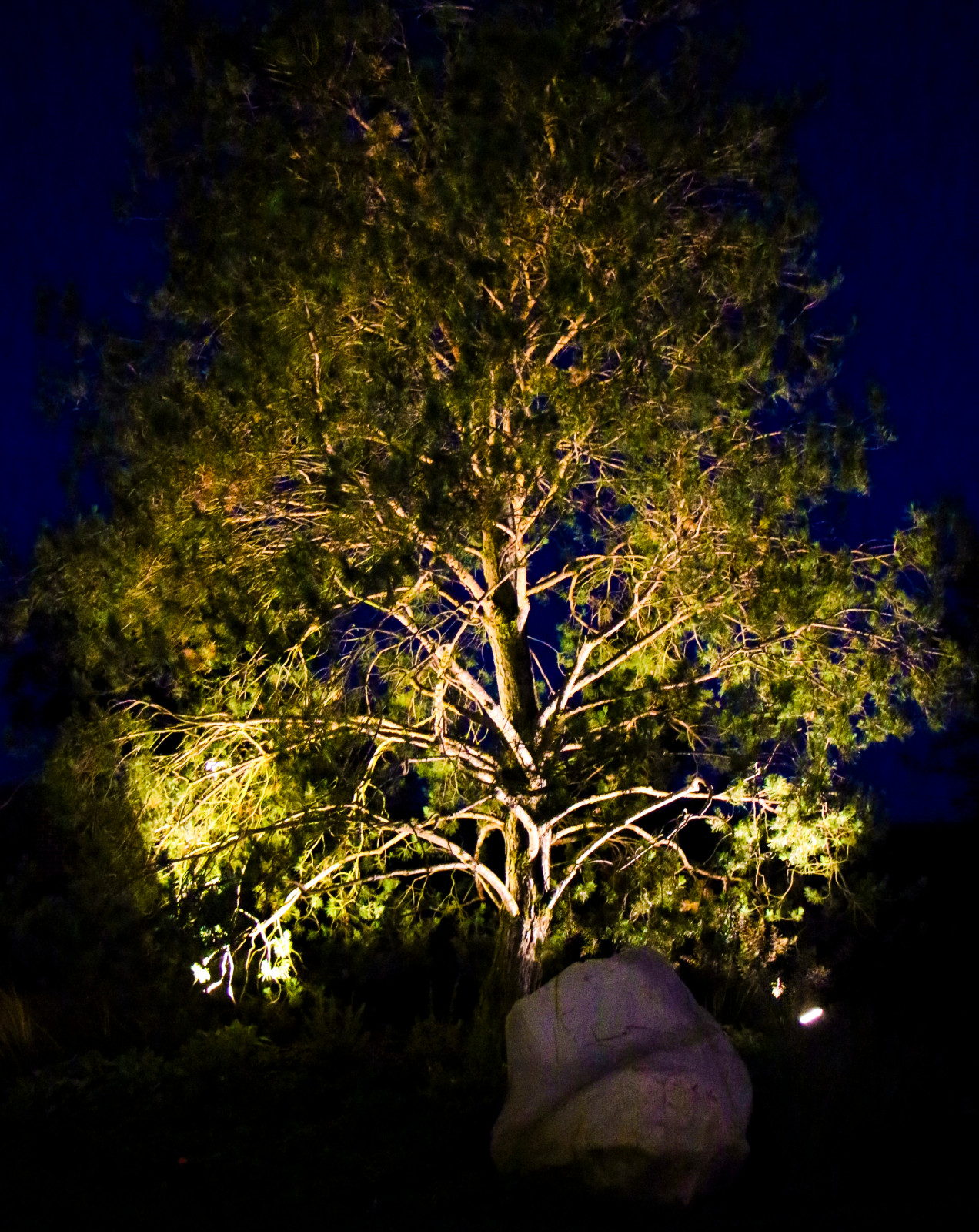 Горки-10, ночной сад, 2017-2020 гг.