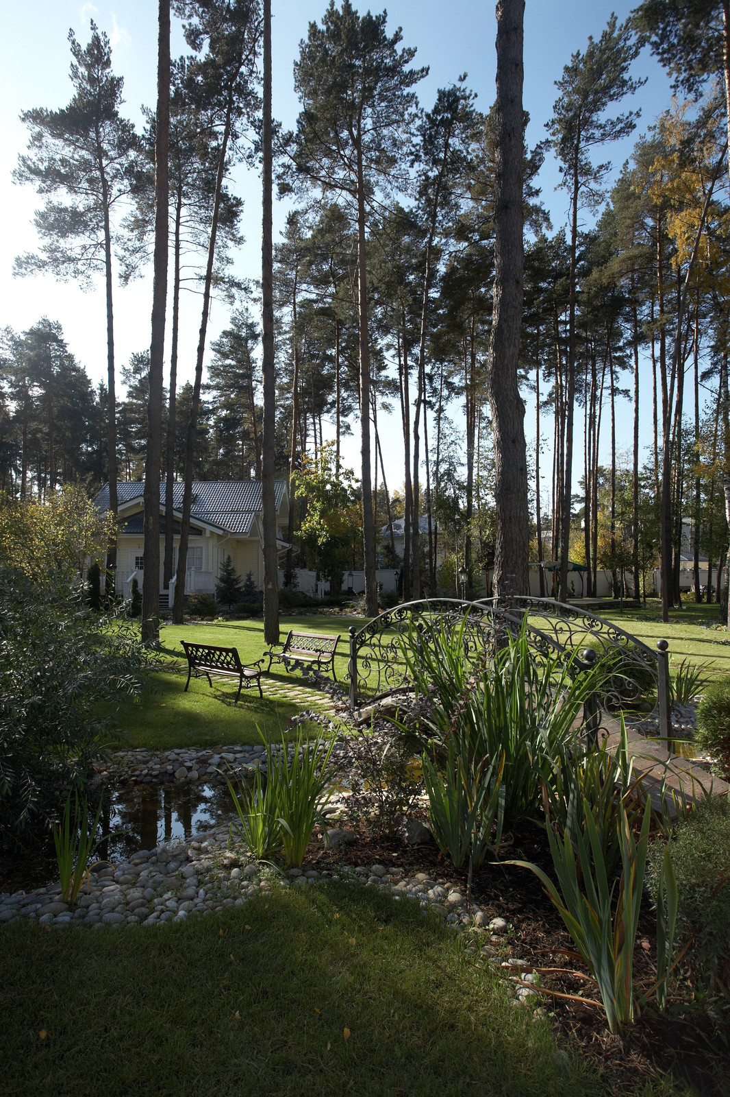 Каменистые ленты