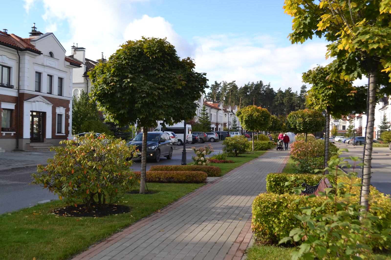 Обложка проекта: Жилищный комплекс "Суханово-Парк"