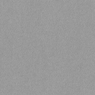 Алиса Субботина