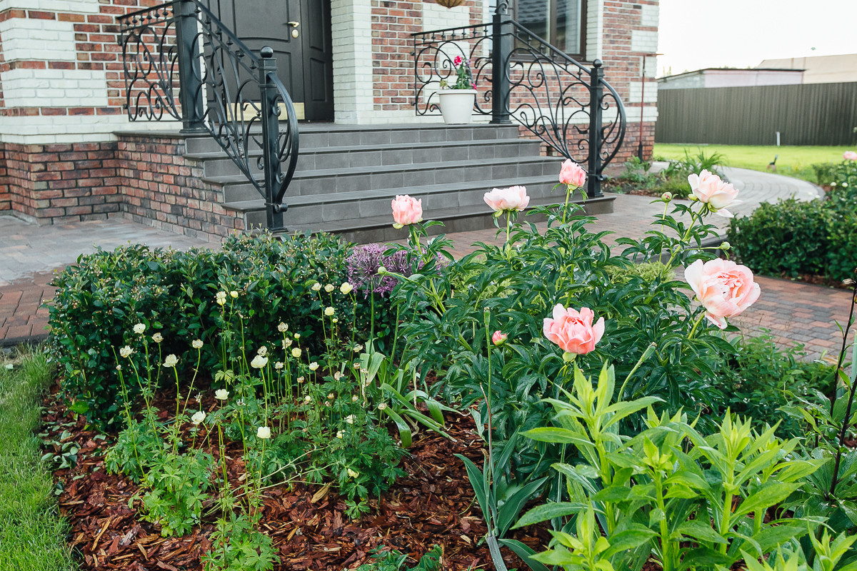 Равновесие