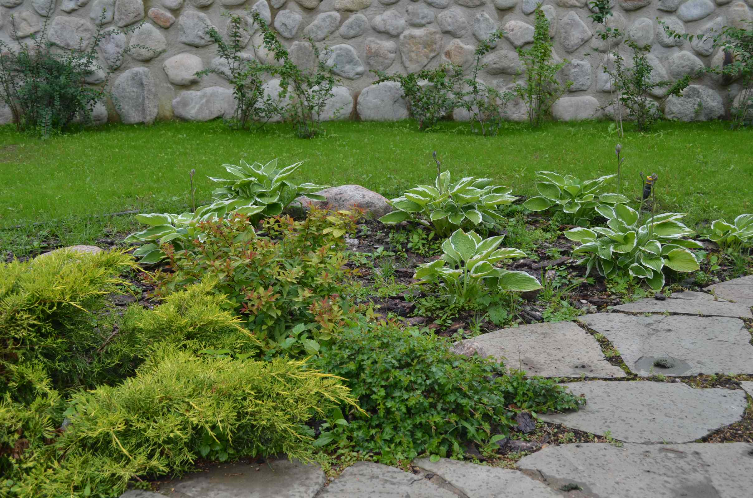 Воплощение проекта. Мельниково