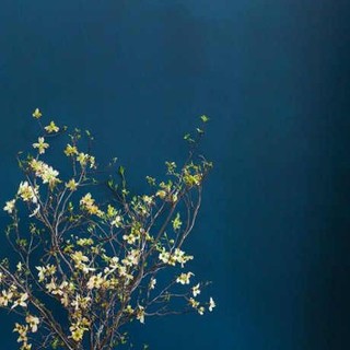 Дария Раншакова