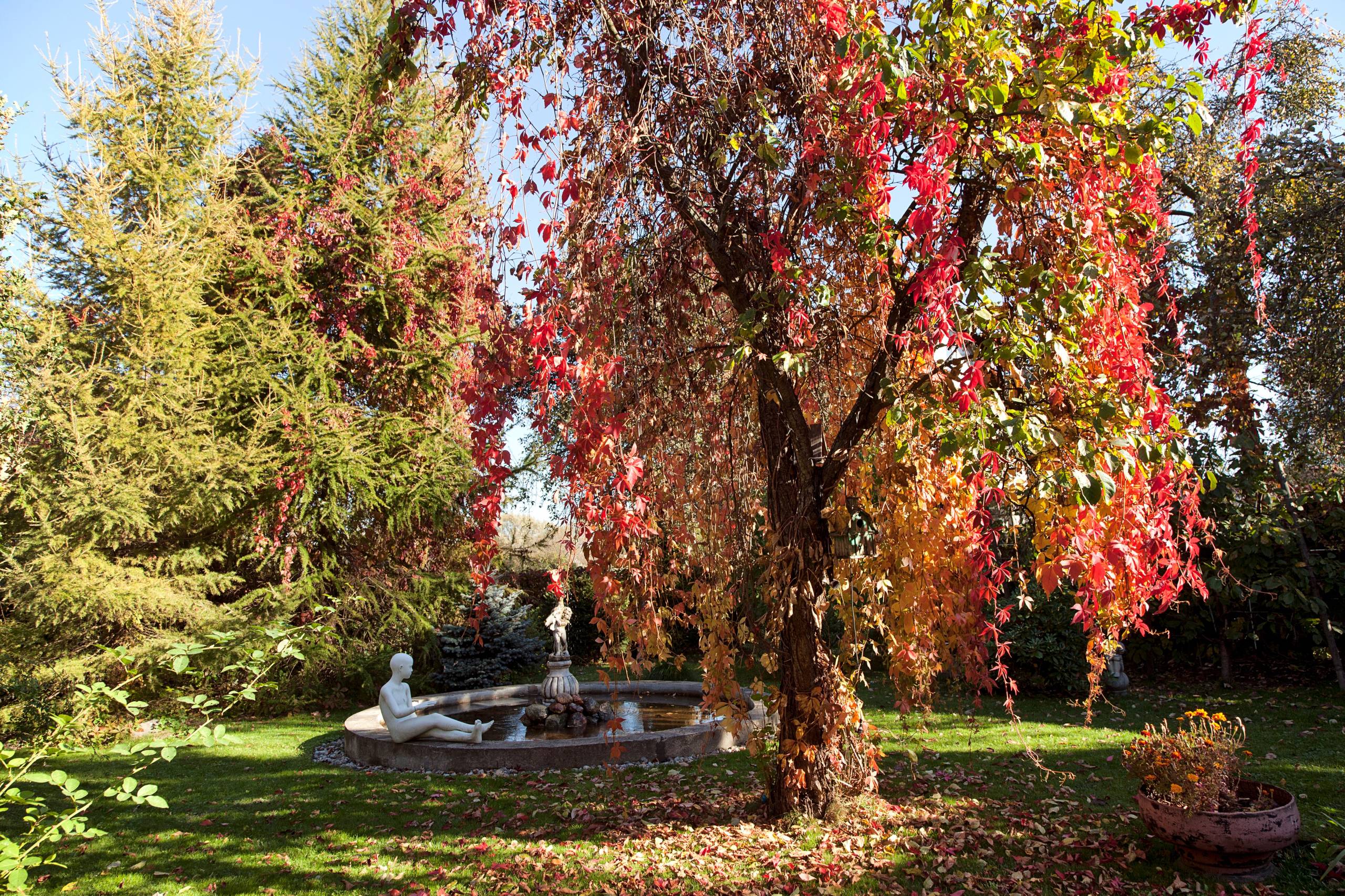 В гостях: Дом дизайнера и 4 сотки сада в Калининграде